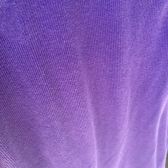 Women's Purple American Eagle Outfitters Tank Top Size Large - Picture 2 of 3